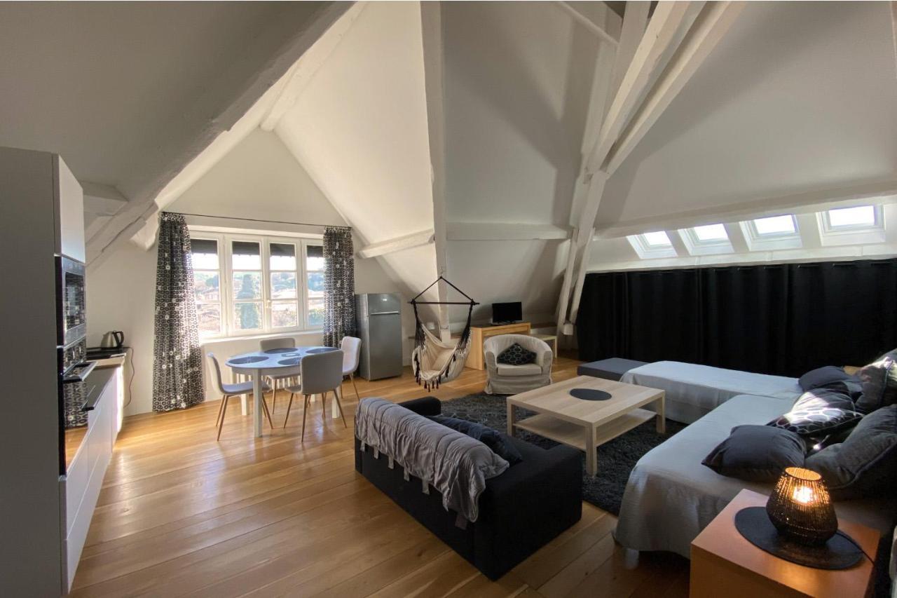 Demeure Saint Louis Historic Manor, City 700M, Parking,A C,Clim,Wifi, Heated Pool, City View Carcassonne Exterior foto